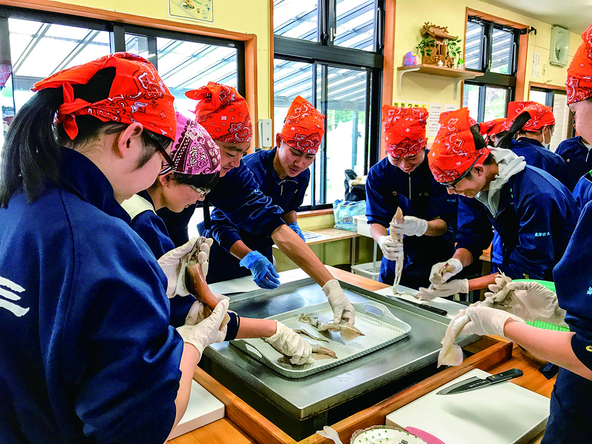 かき小屋かあさんのいかさばき いか焼き体験 東北 岩手 山田町 の観光情報サイト